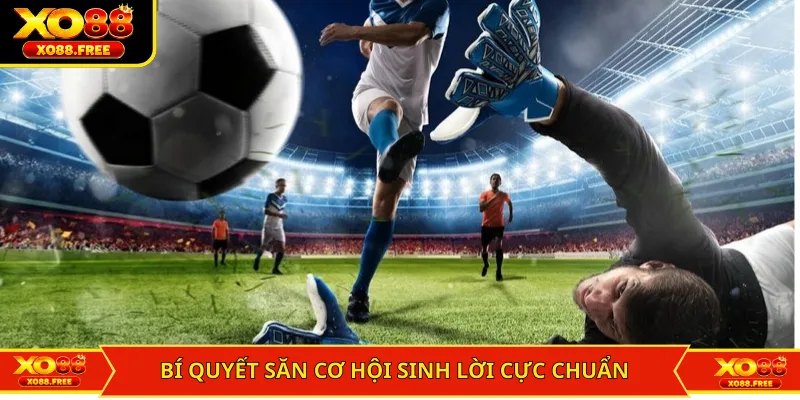 Bí quyết săn cơ hội sinh lời cực chuẩn