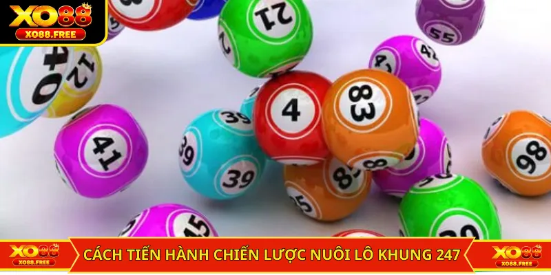 Cách tiến hành chiến lược nuôi lô khung 247