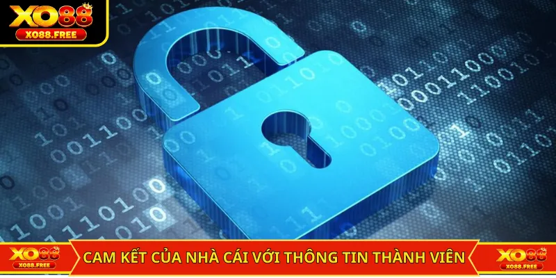 Cam kết của nhà cái với thông tin thành viên