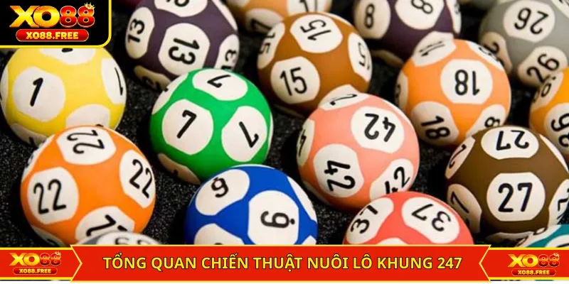 Cập nhật tổng quan chiến thuật nuôi lô khung 247